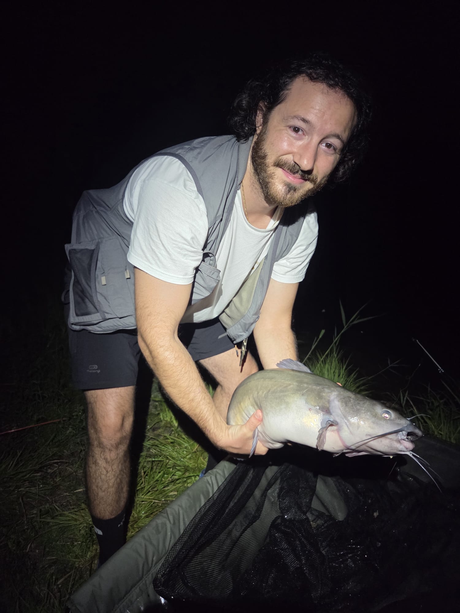 Il pesce gatto punteggiato di Dema.