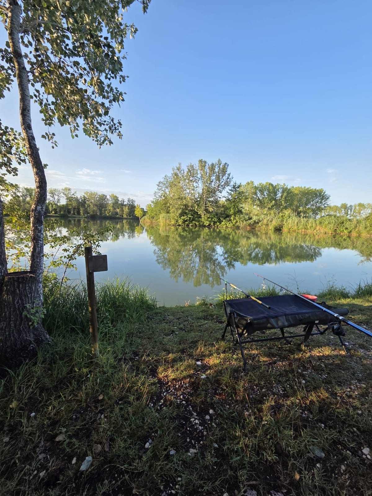 Sessione 4 · Laghi di Cesena e Taiedo · Lago A · Postazione 12
