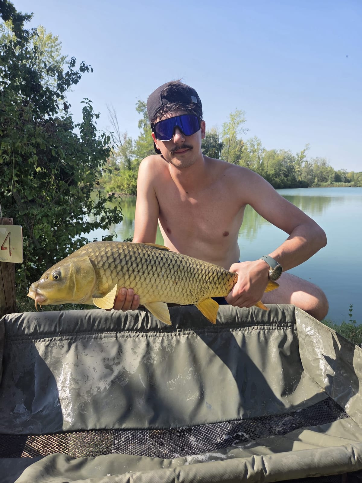 Carpa regina, Jack