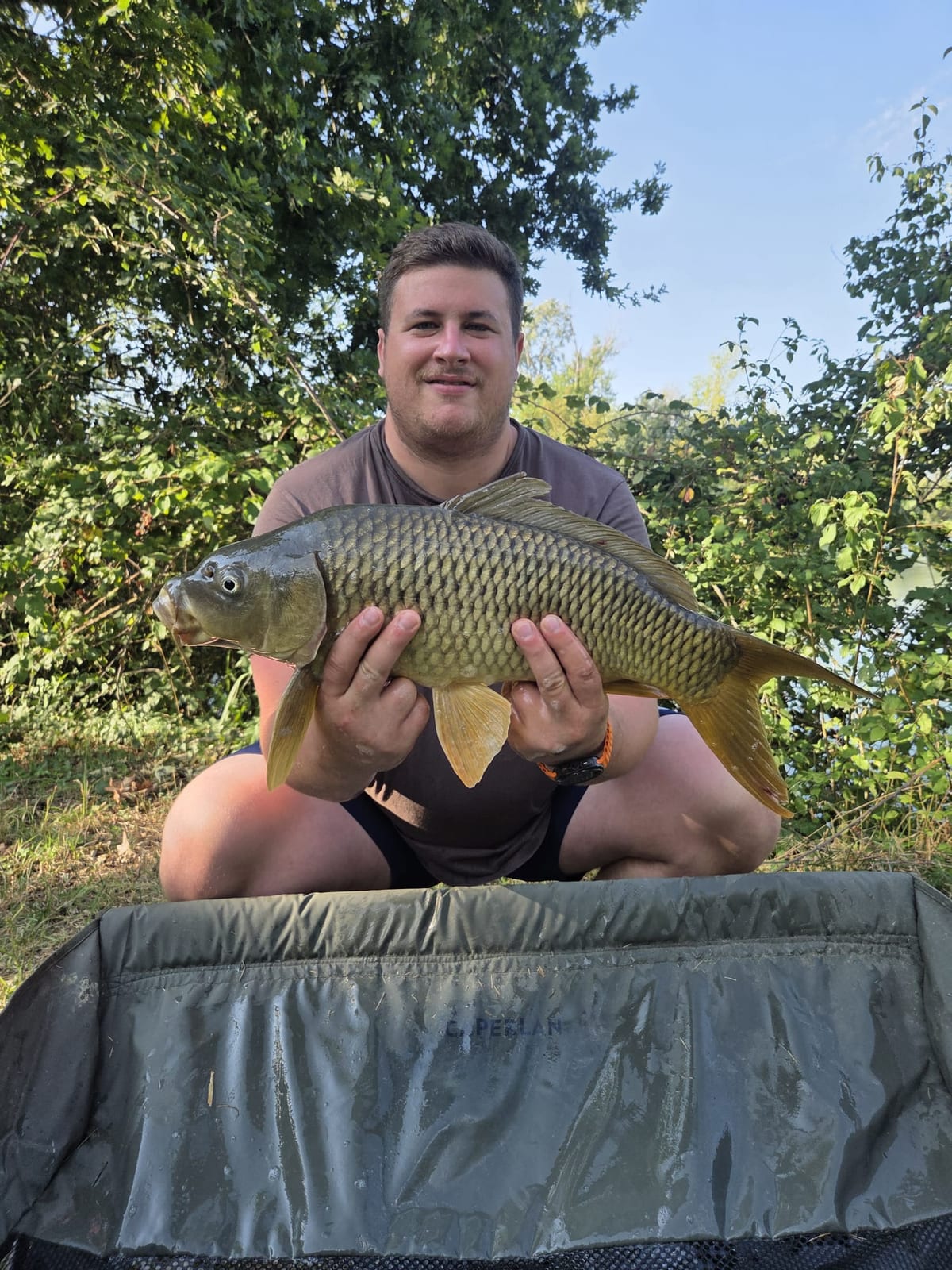 Carpa regina da 3,105 kg.