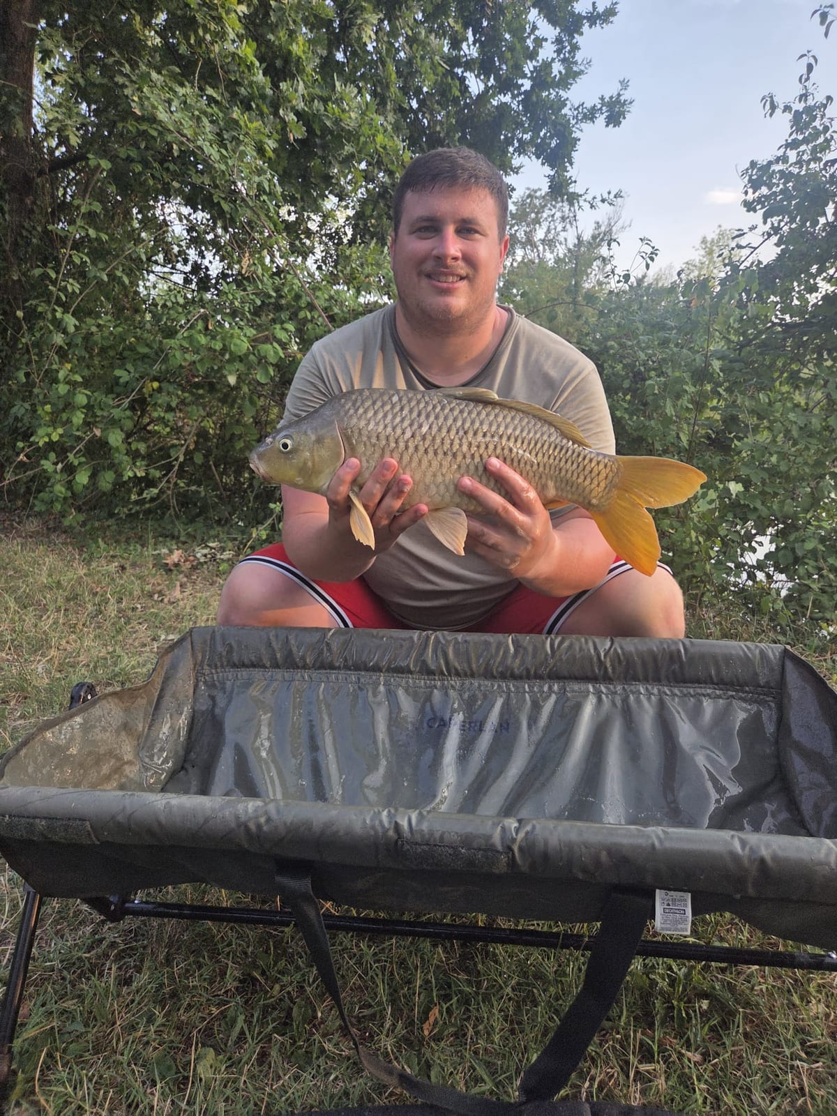 Carpa regina da 4,775 kg.