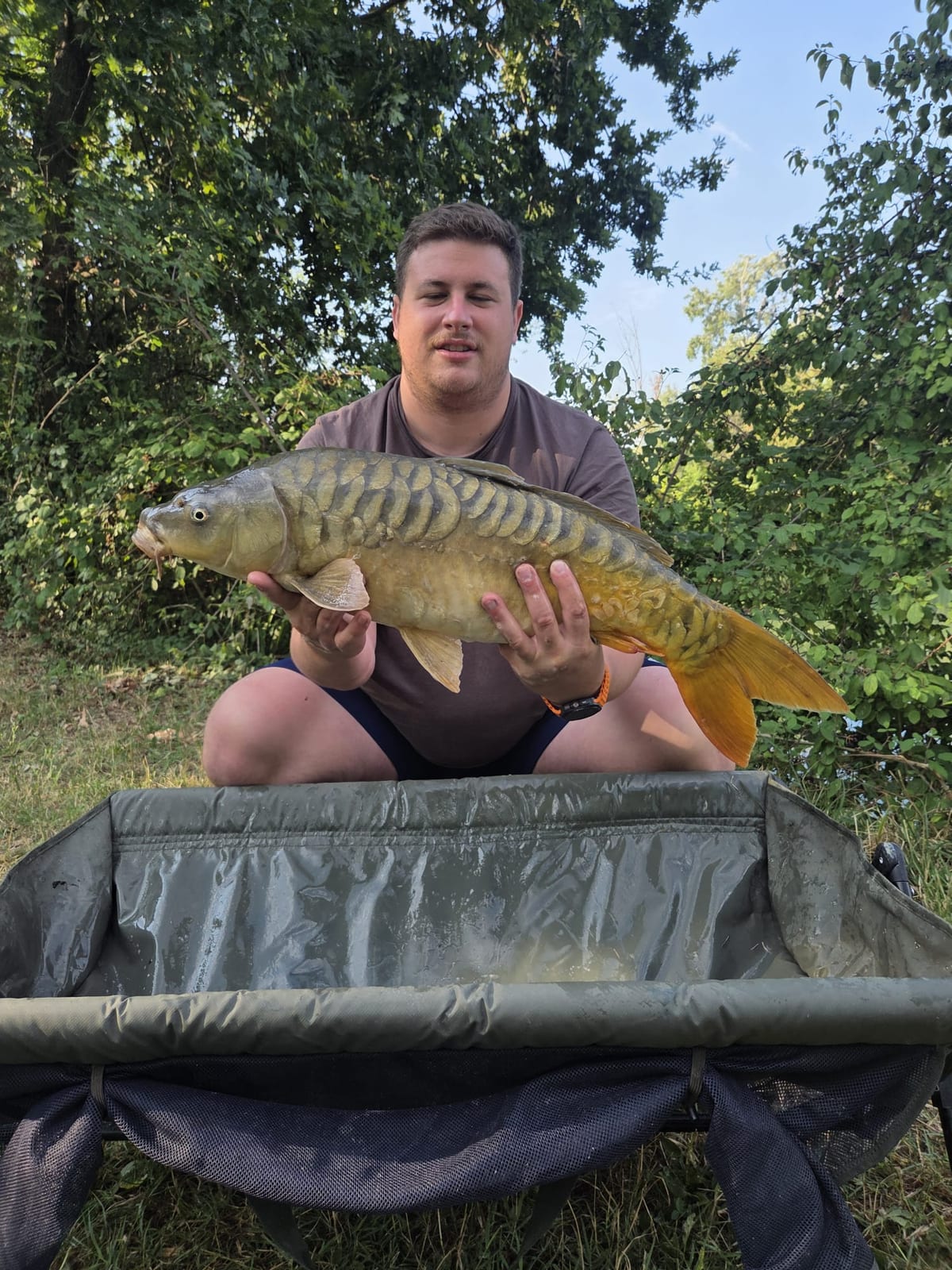Una specchi bellissima, 5,625 kg.