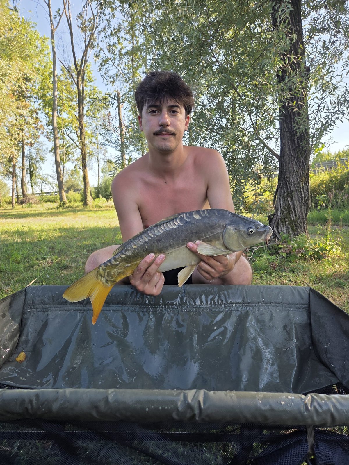 Carpa Specchi, Jack