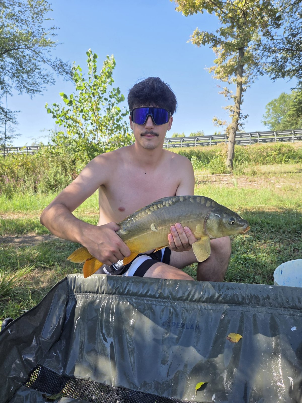 Carpa Specchi, Jack