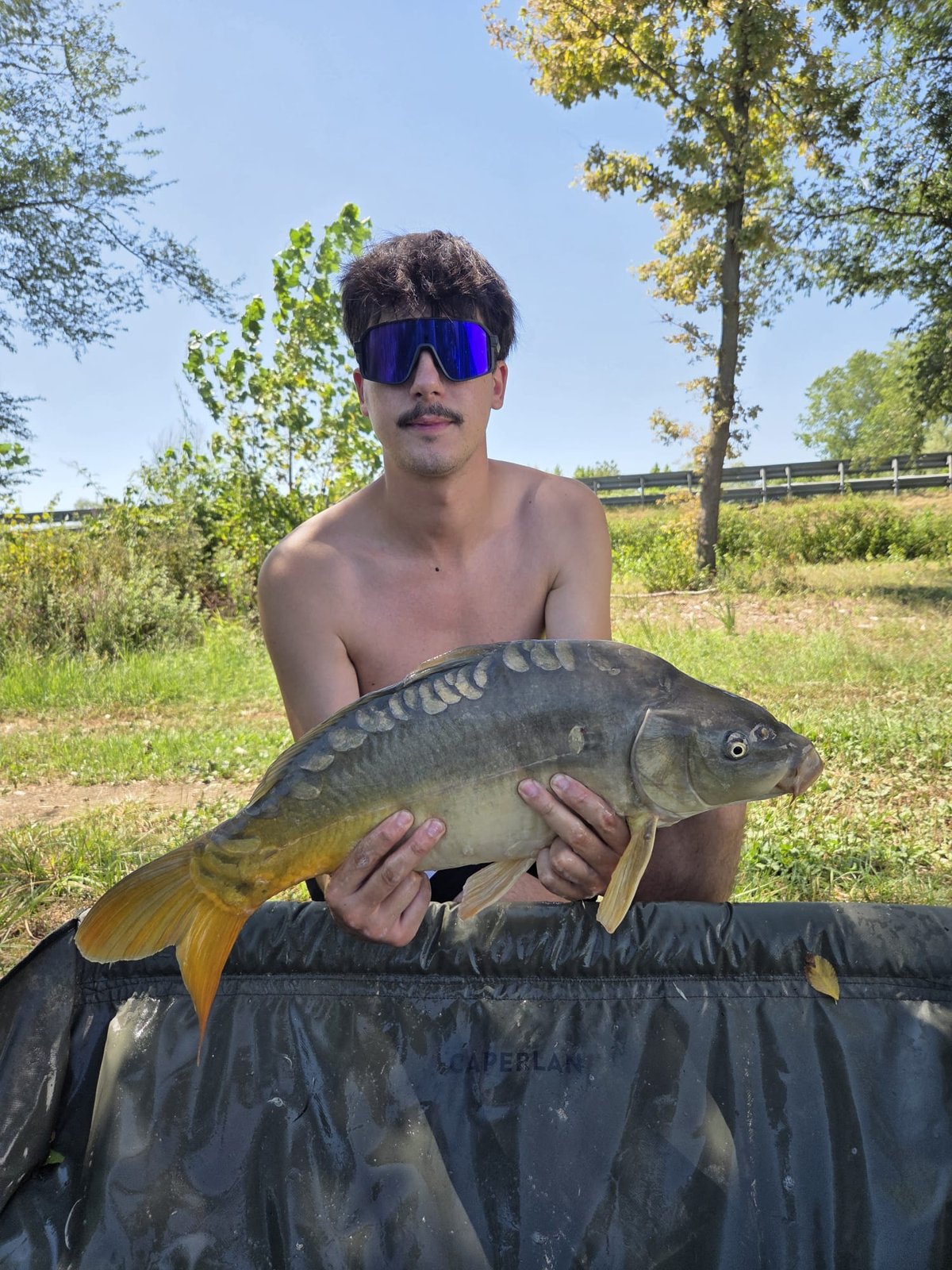 Carpa Specchi, Jack