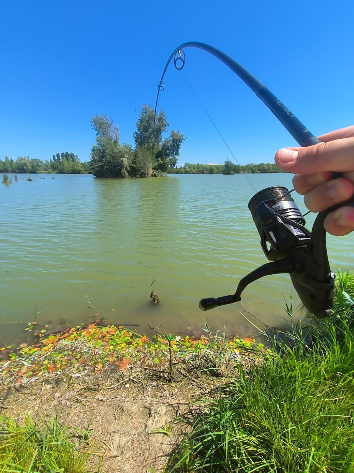 Canna piegata e lotta impari col Pesce Ramo