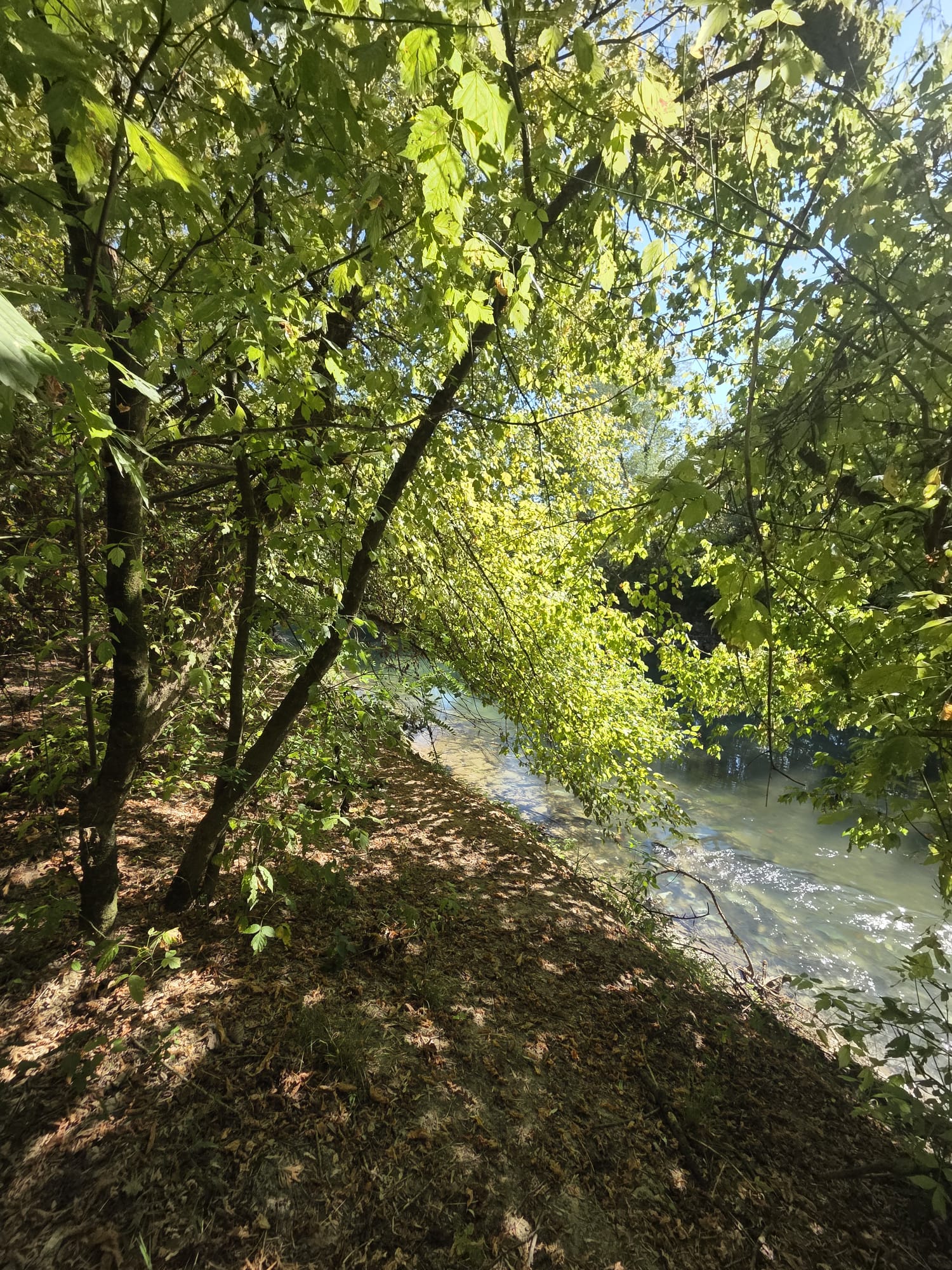 Il primo sguardo al Livenza dalla riva alta