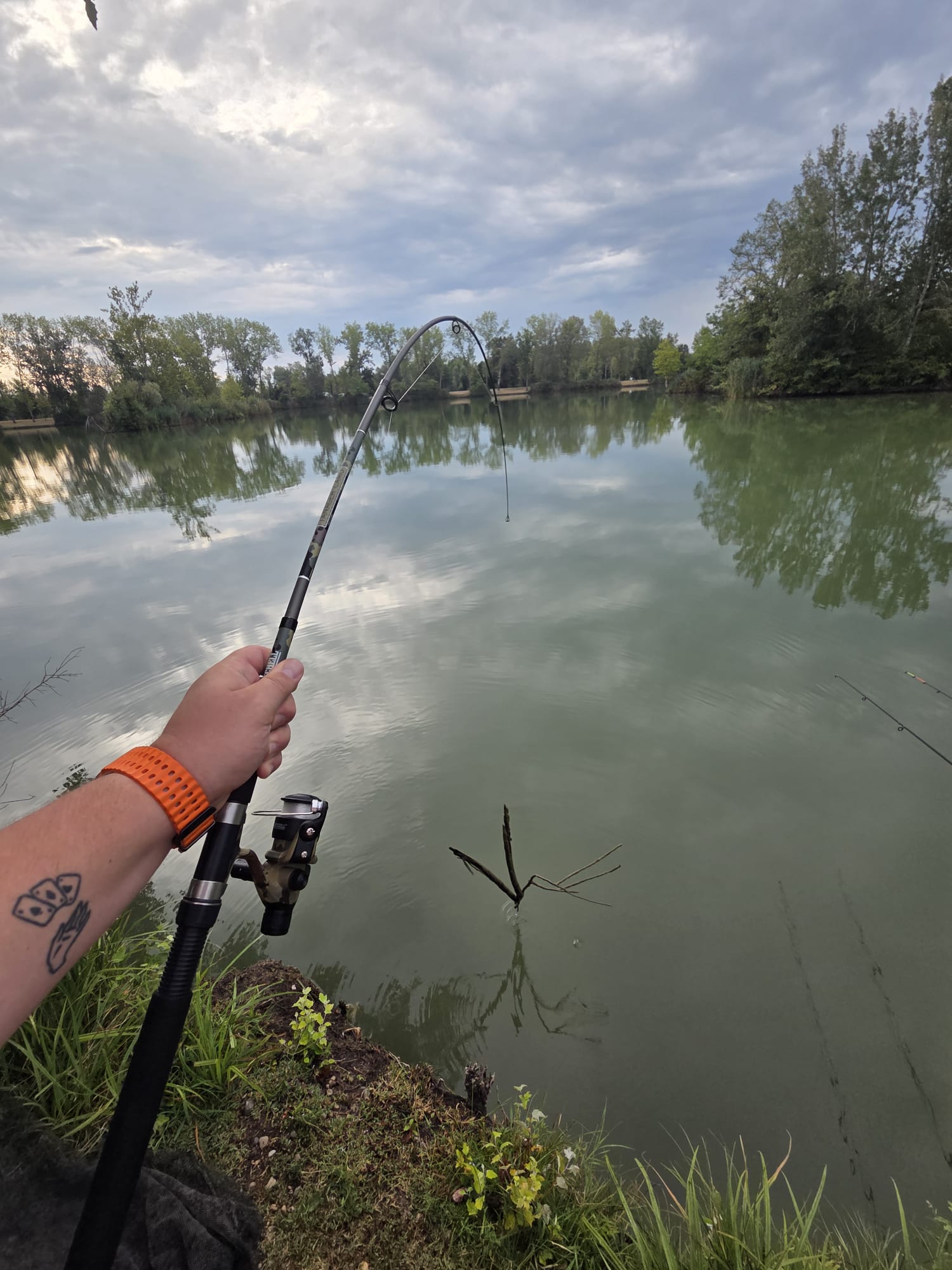 Ecco il pesce ramo della giornata