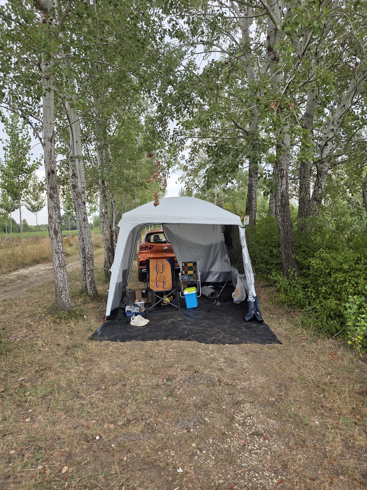 Il gazebo tra i pioppi, con la macchina parcheggiata dietro