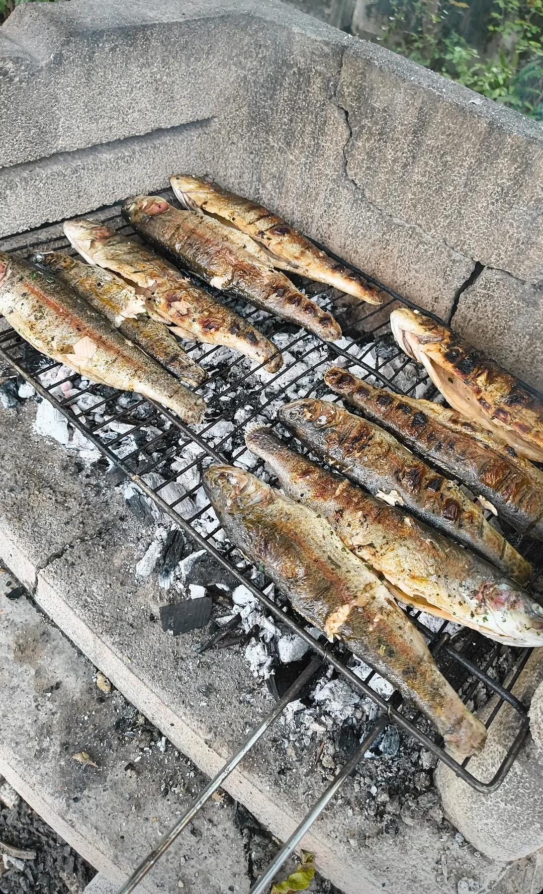 Il pesce sulla griglia, pulito e sviscerato lì da noi