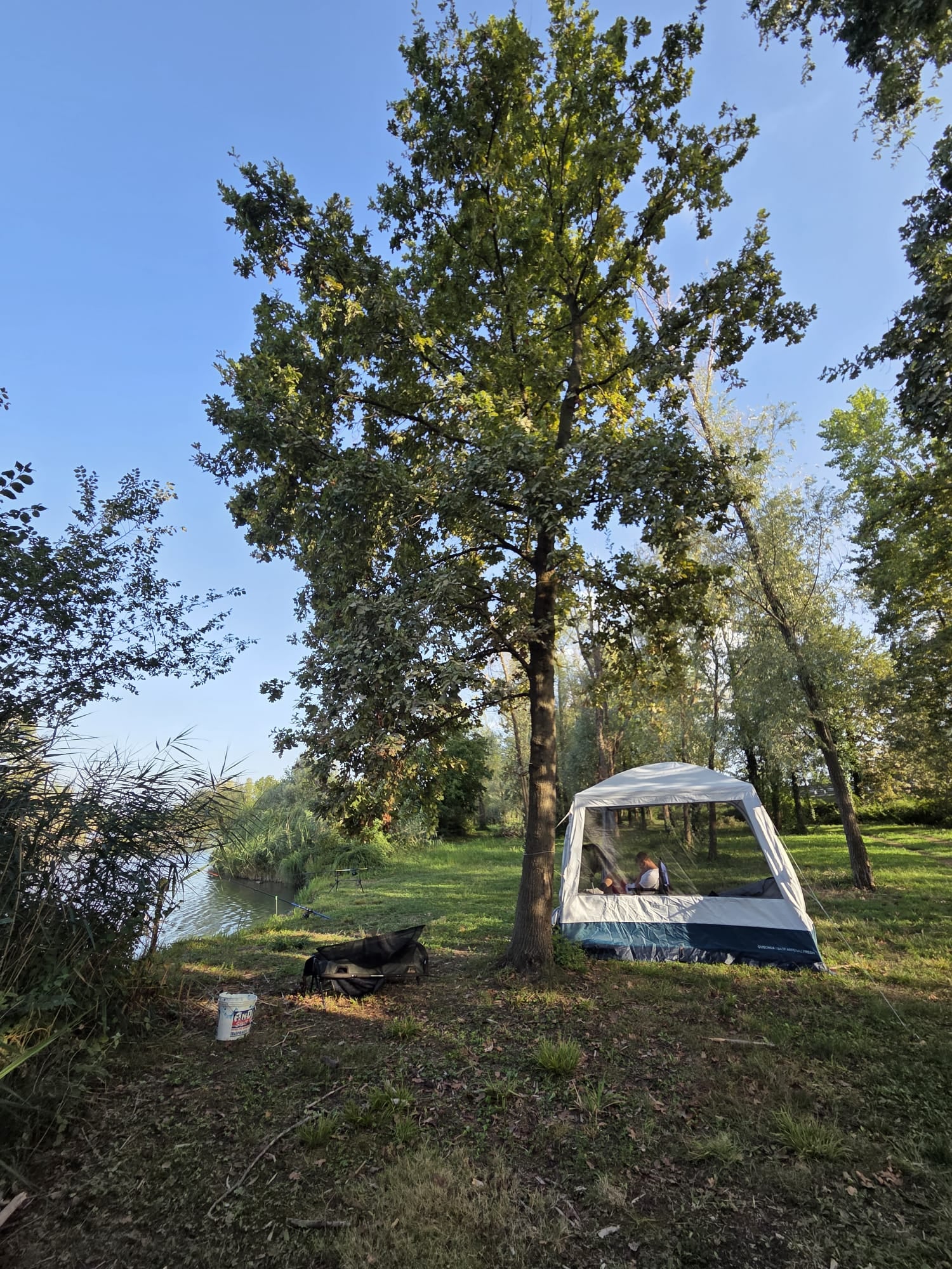 Il gazebo montato sotto la quercia, a due passi dall'acqua