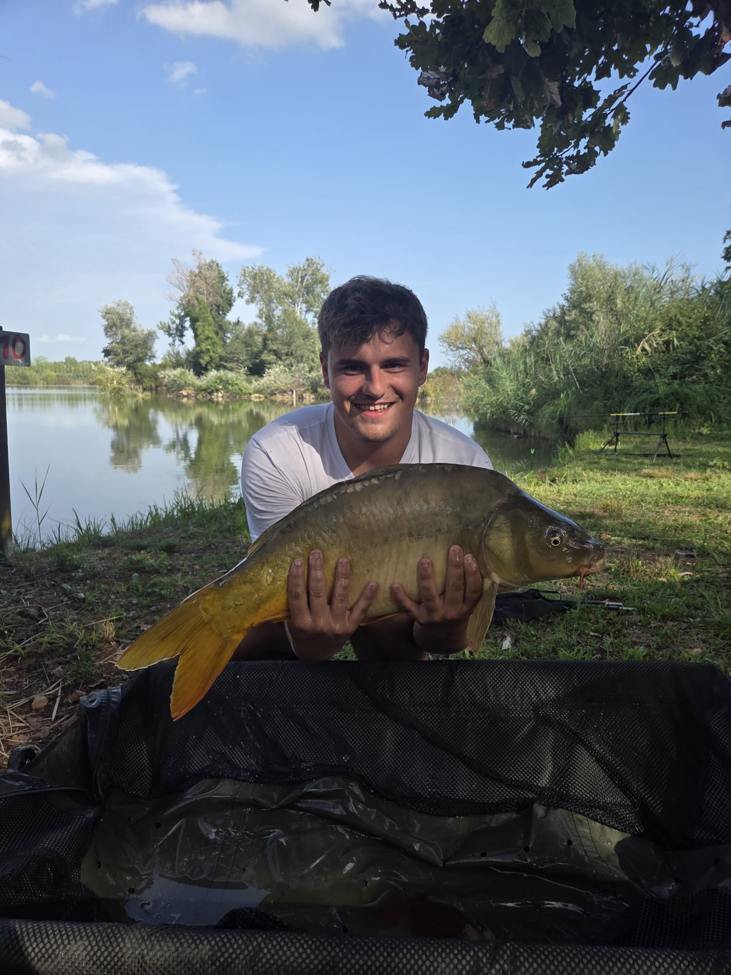 Un altro scatto della specchi di Matt, 5,650 kg