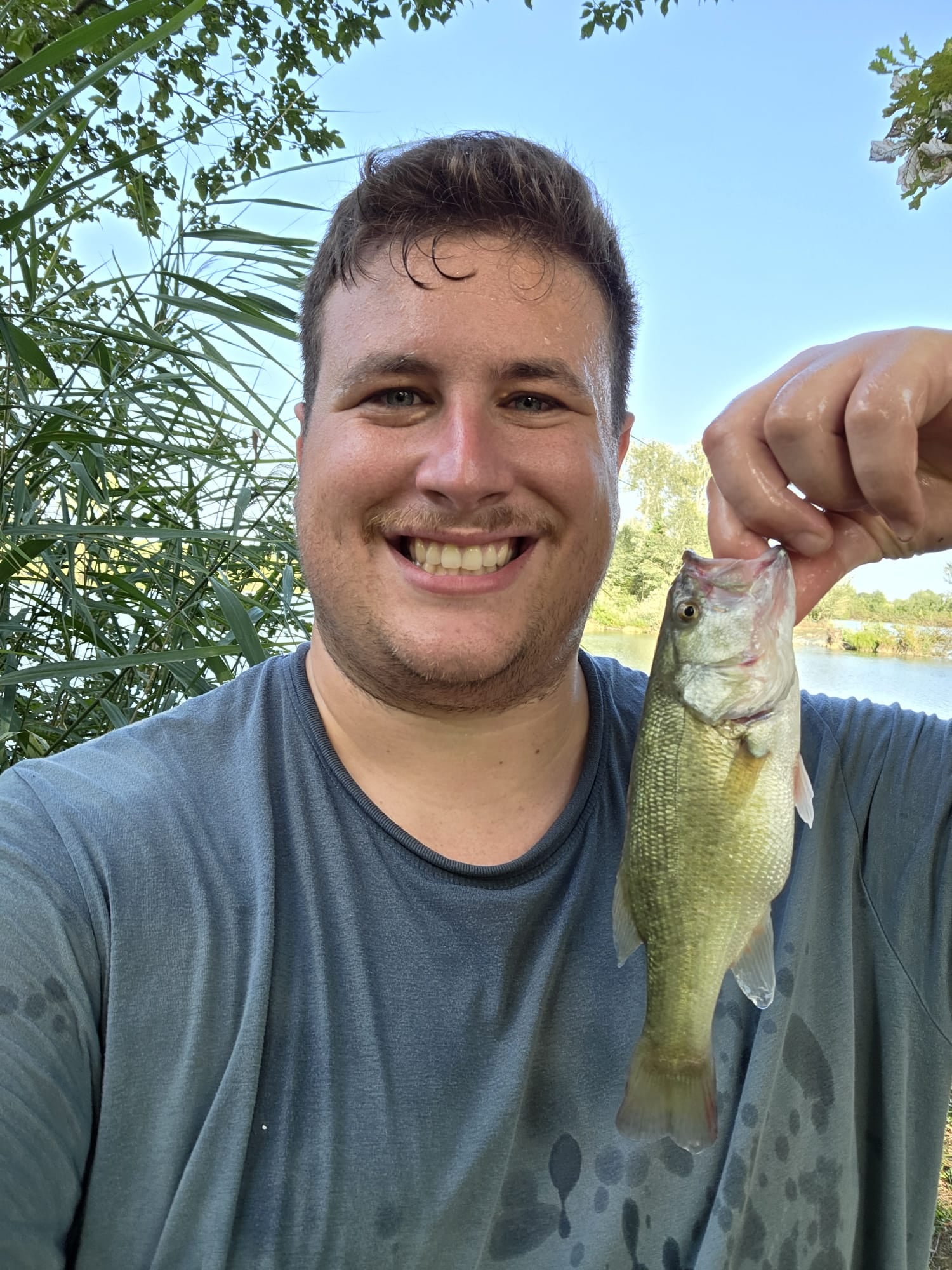 175 g a spinning col cucchiaino, sotto riva, ed è stato l'ultimo pesce della giornata. Piccolo in assoluto, ma è il black bass più grosso che ho preso: gli altri tre stavano tra i trenta e i cinquanta grammi.