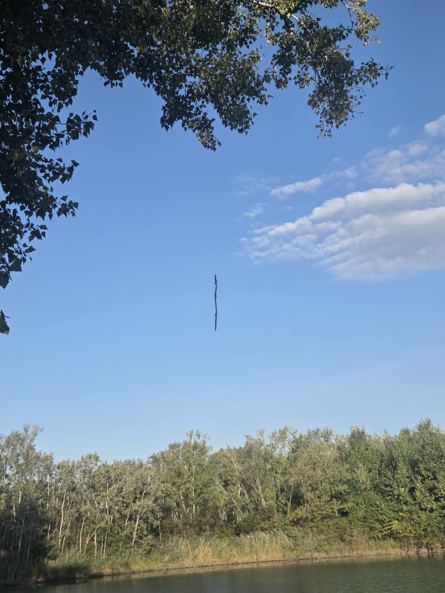 Qualcuno prima di noi ha lasciato la lenza sull'albero, e il ramo è rimasto lì appeso a mezz'aria